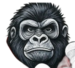 Evening Zoo Monkey Icon