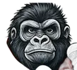 Evening Zoo Icon